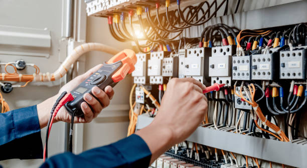 Best Licensed Electrician  in Woodlawn Beach, FL